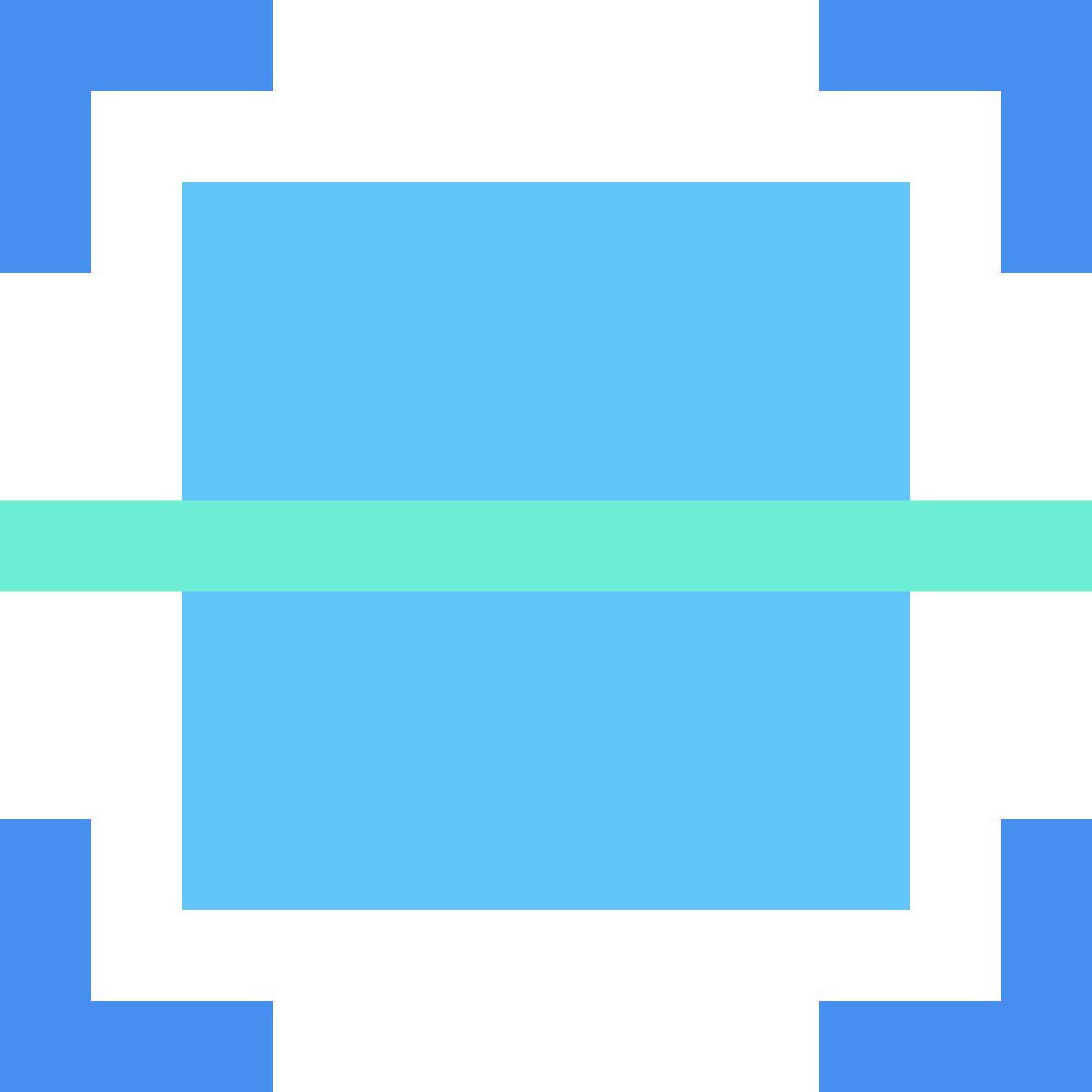 scan icon