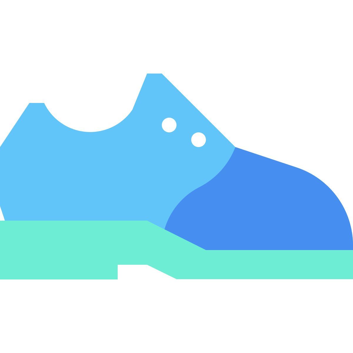 shoes icon