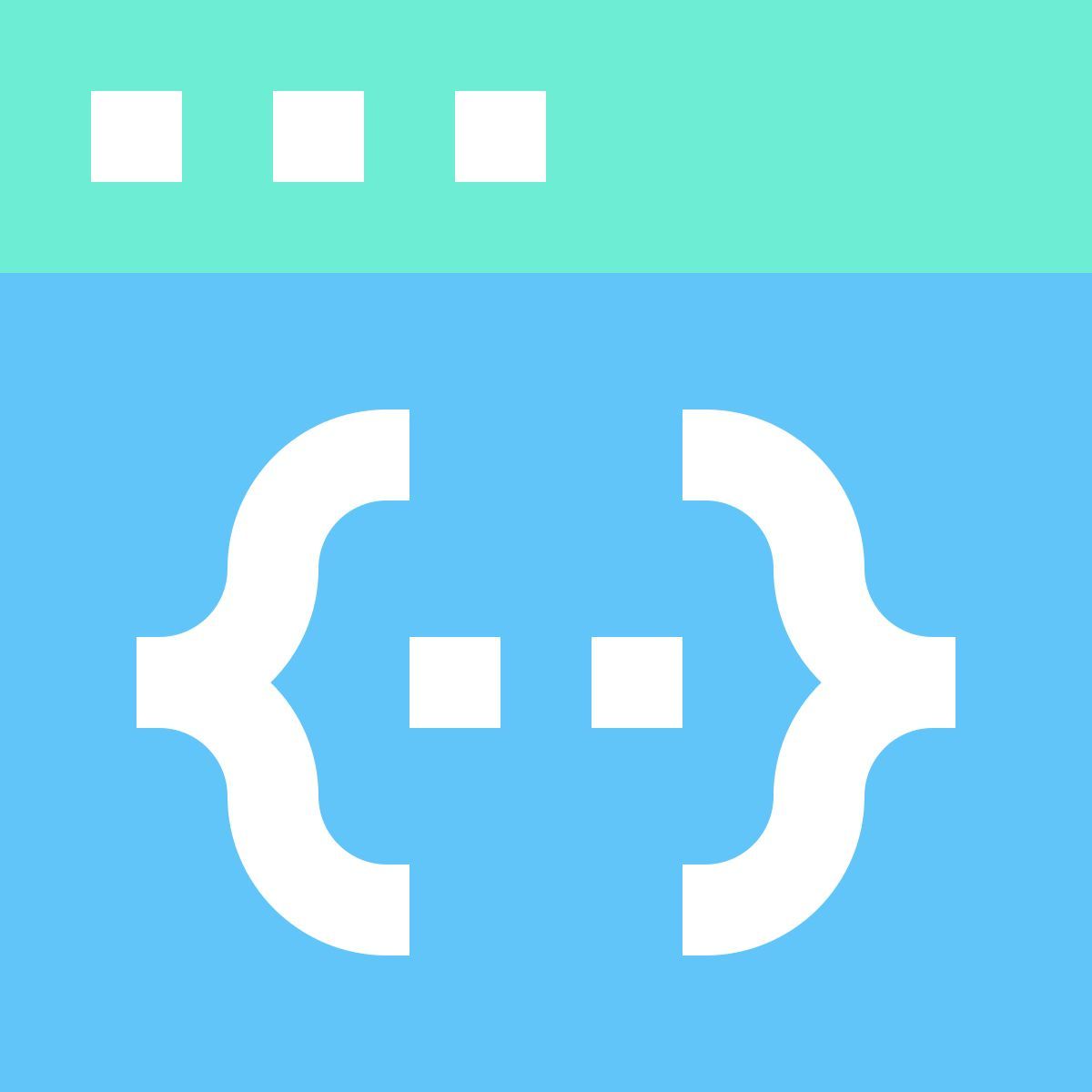 web programing icon