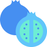 external Pomegranate-fruit-beshi-flat-kerismaker icon