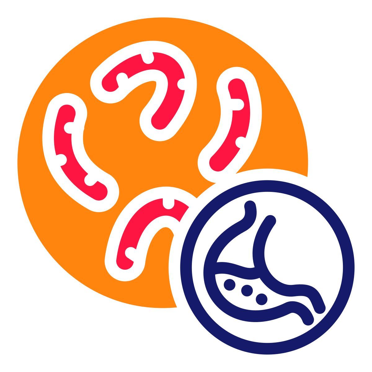 external probiotic health and lifestyle blue red orange febrian hidayat icon