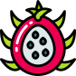 external dragonfruit-fruit-bright-fill-bright-fill-juicy-fish icon