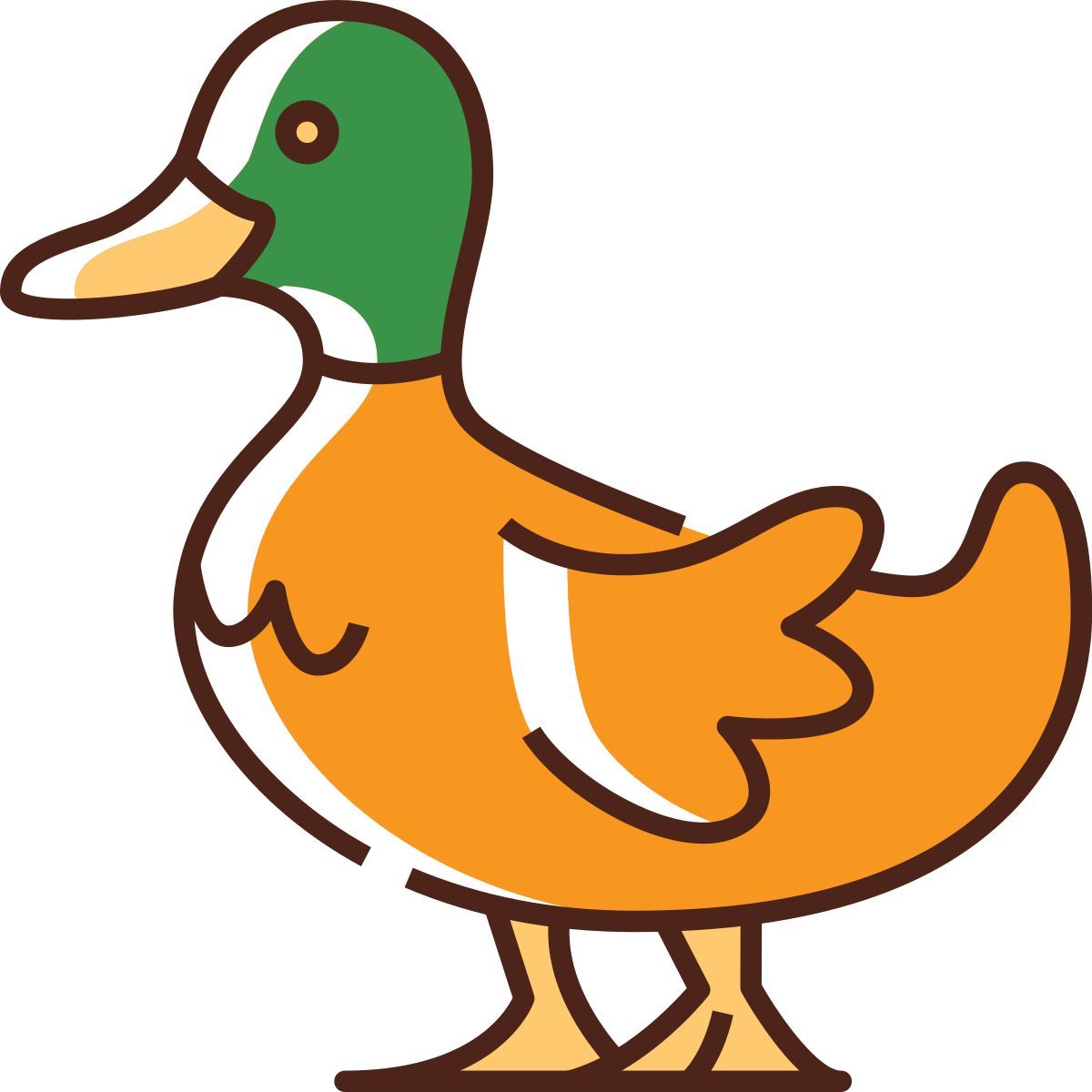 canard icon