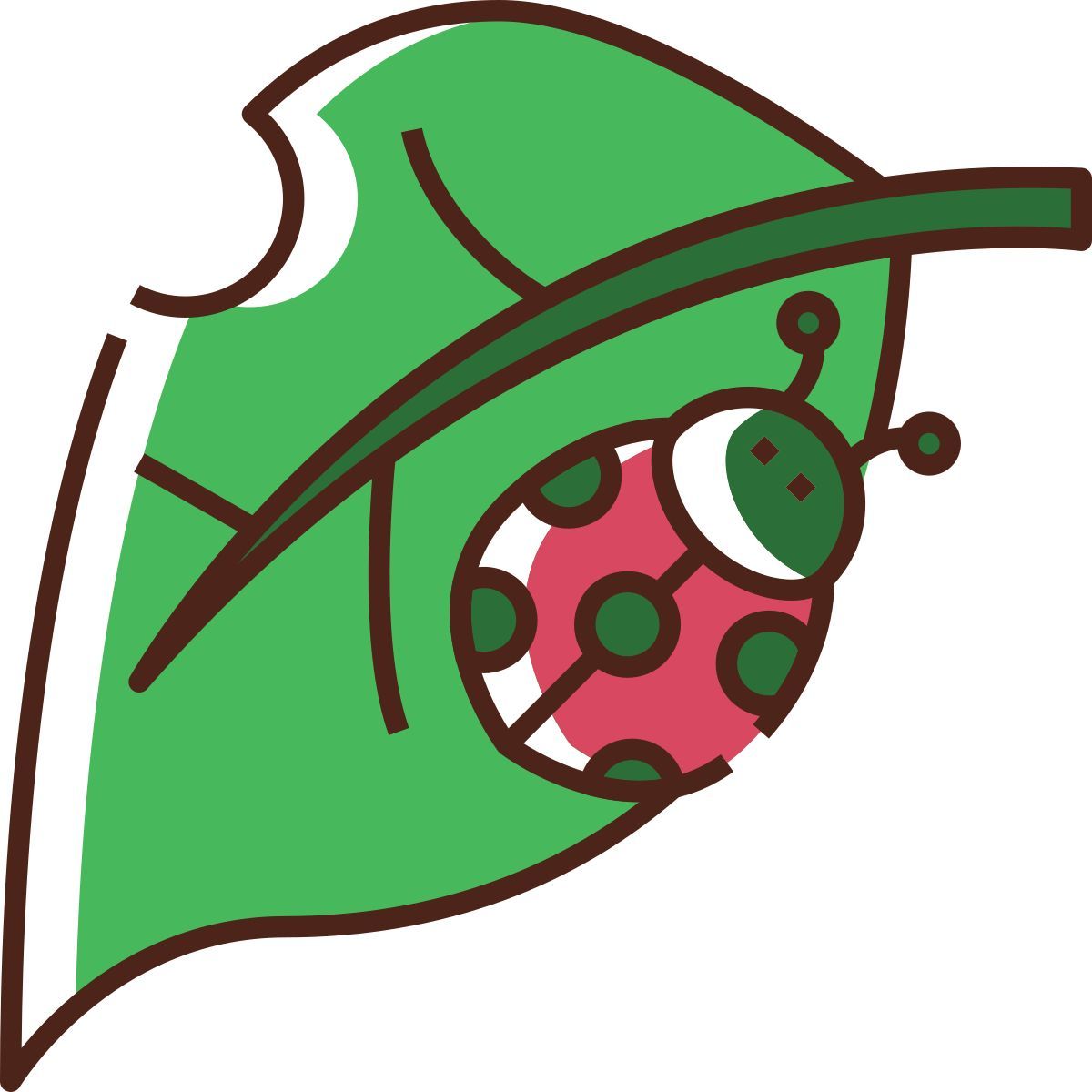 ladybug icon