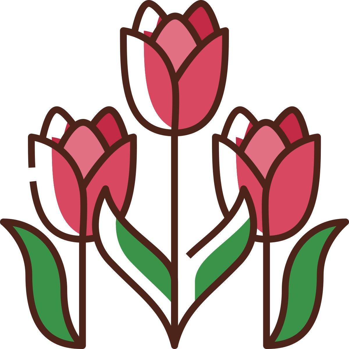 tulips icon
