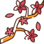 external cherry-blossom-spring-bzzricon-color-omission-bzzricon-color-omission-bzzricon-studio icon