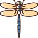 external dragonfly-spring-bzzricon-color-omission-bzzricon-color-omission-bzzricon-studio icon