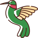 external hummingbird-spring-bzzricon-color-omission-bzzricon-color-omission-bzzricon-studio icon