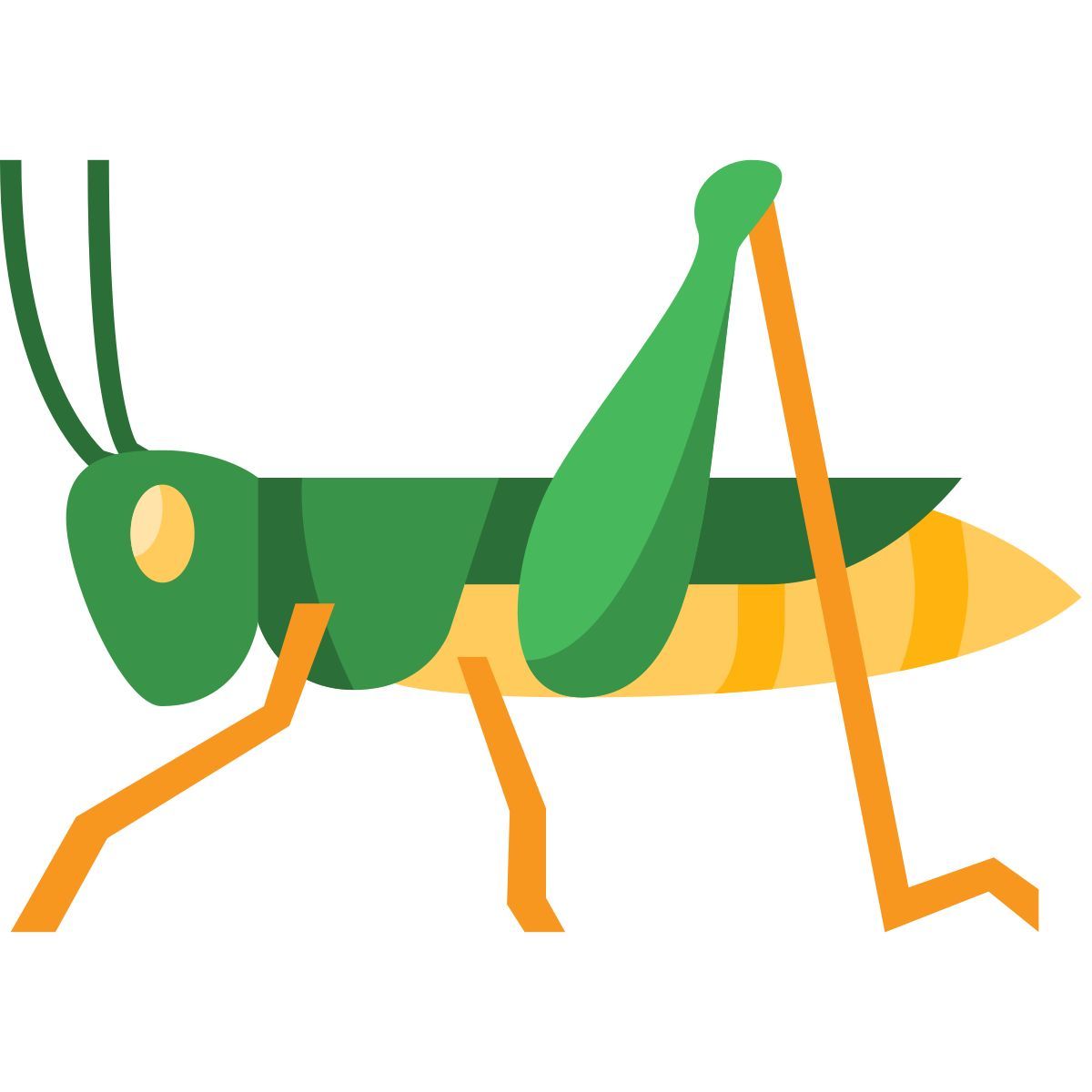 sauterelle icon