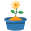 external flower-spring-bzzricon-flat-bzzricon-flat-bzzricon-studio icon