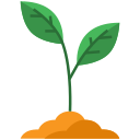 external sprout-spring-bzzricon-flat-bzzricon-flat-bzzricon-studio icon
