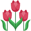 external tulips-spring-bzzricon-flat-bzzricon-flat-bzzricon-studio icon