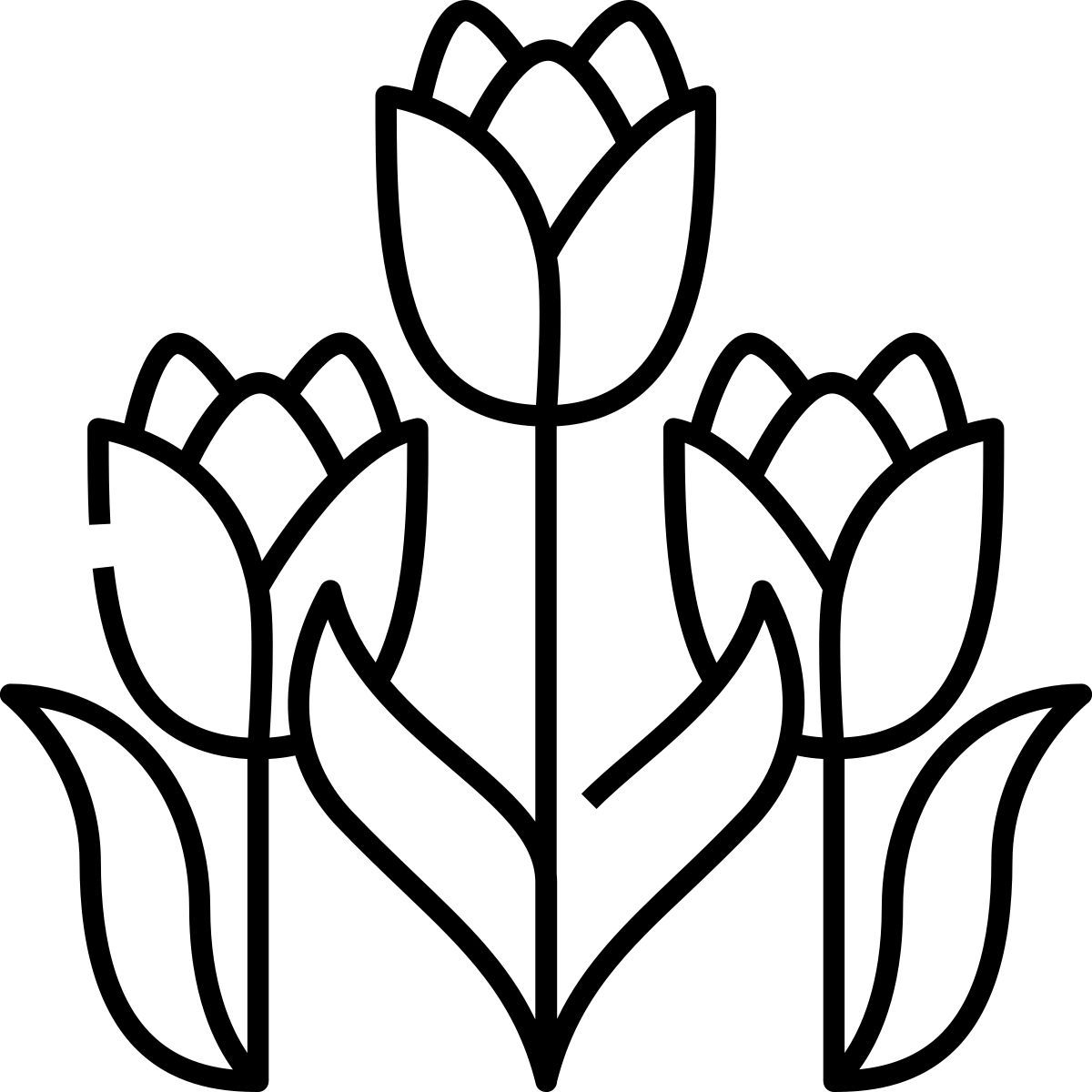 Tulips icon