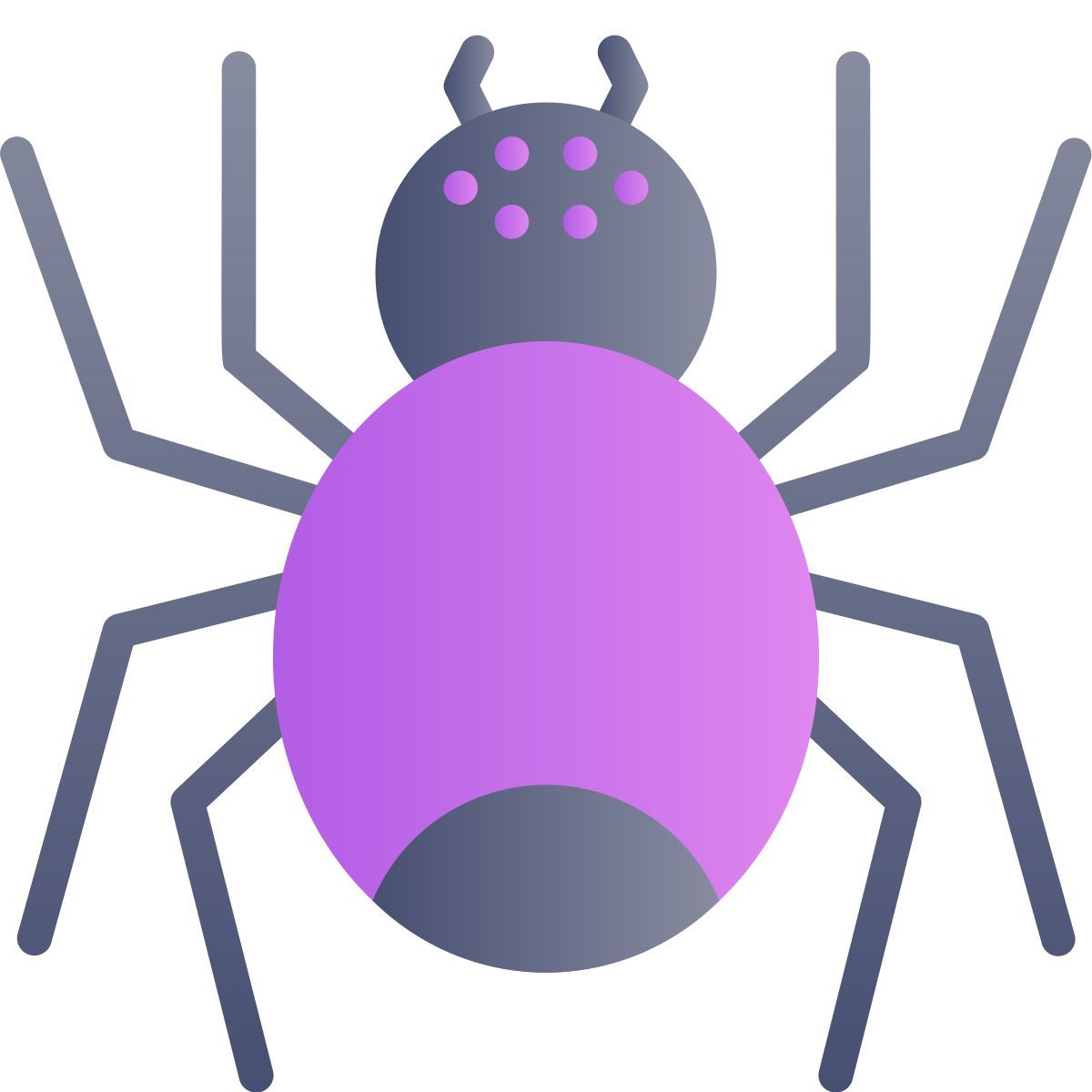 spider icon