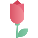 external Rose-valentine-chloe-kerismaker icon
