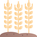 external Wheat-autumn-chloe-kerismaker icon