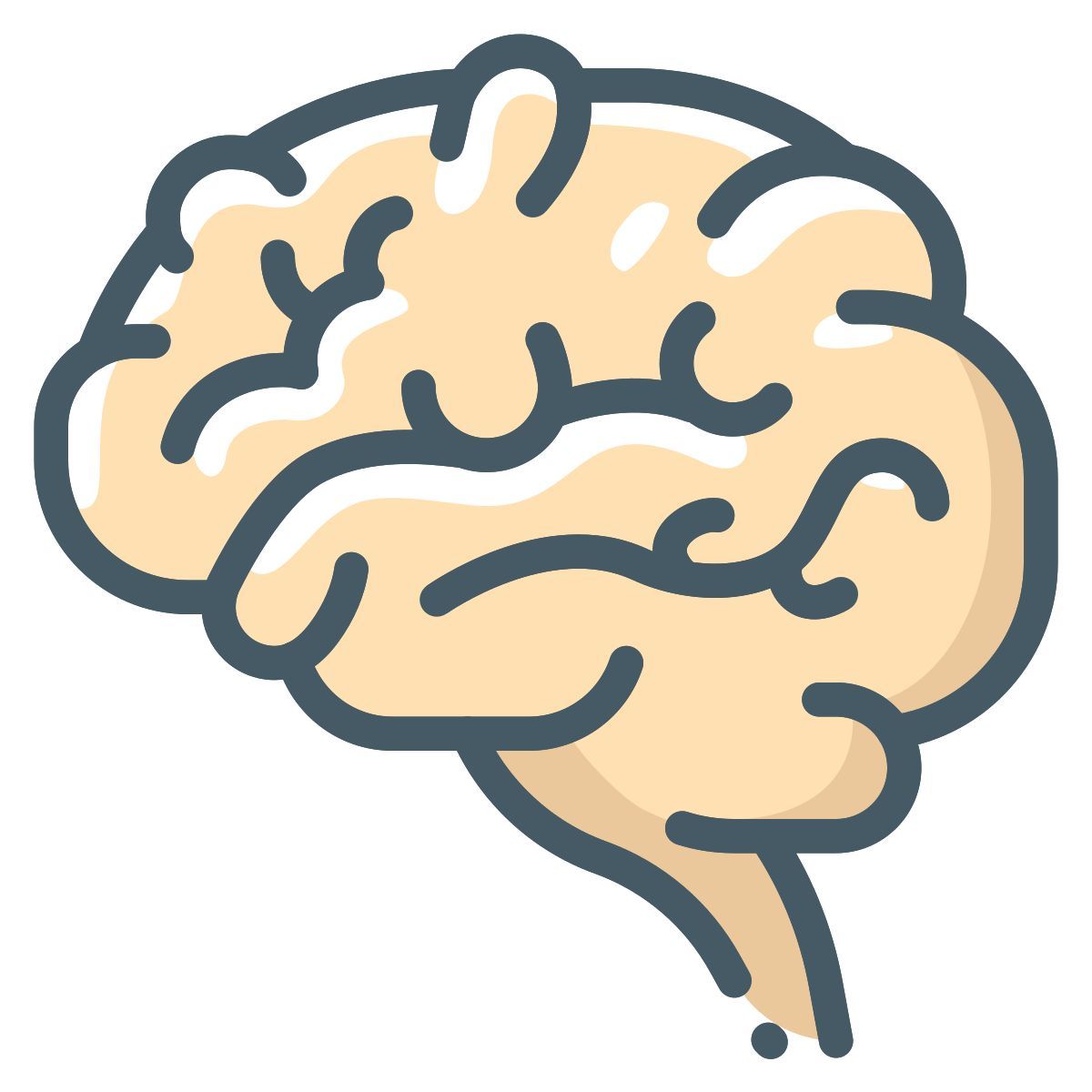 brain icon