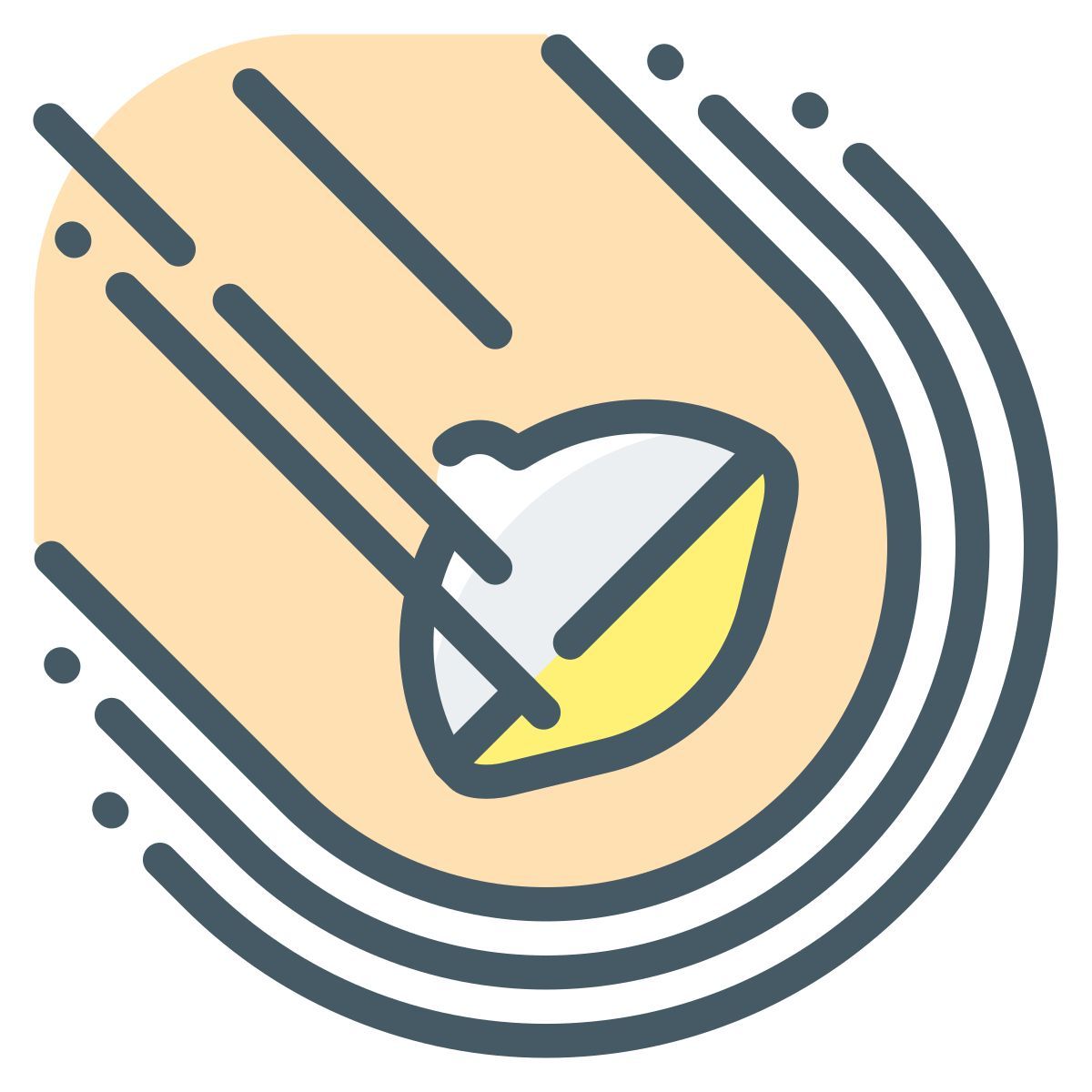 flight icon