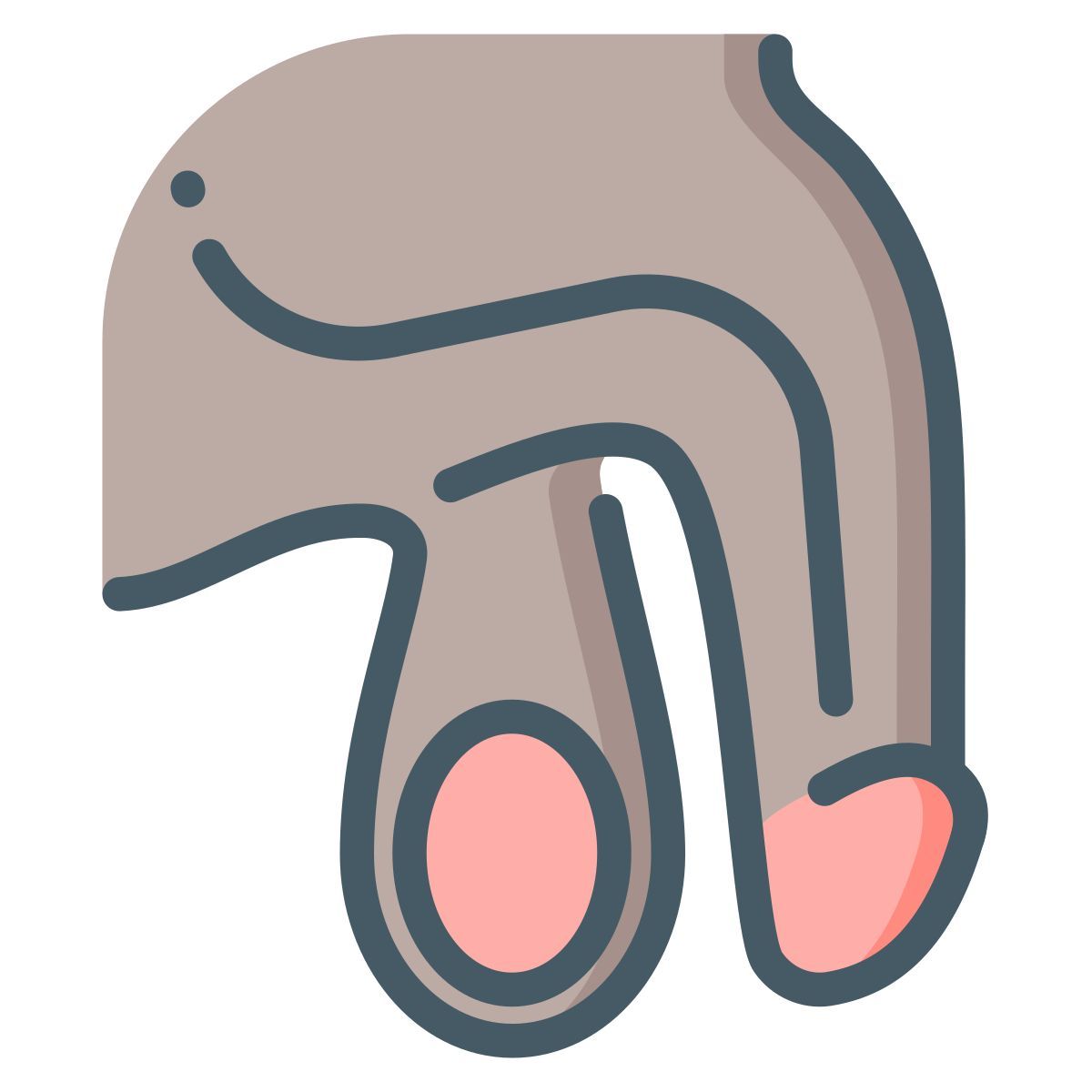 penis icon