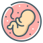 external baby-human-body-anatomy-coco-line-kalash icon