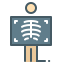 external xray-medicine-and-medical-diagnostics-coco-line-kalash icon