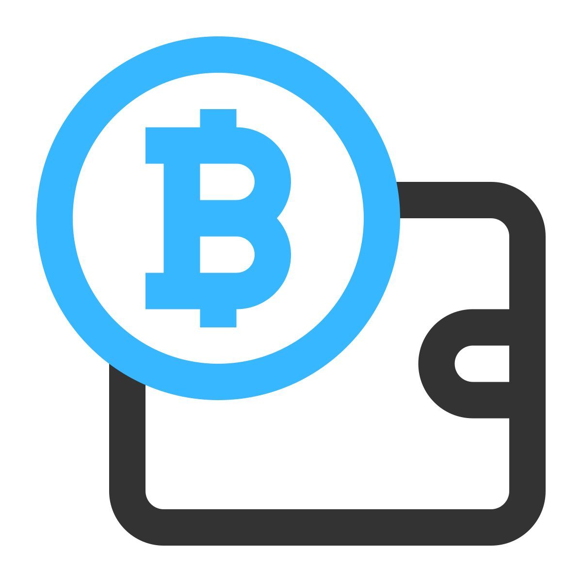 bitcoin icon