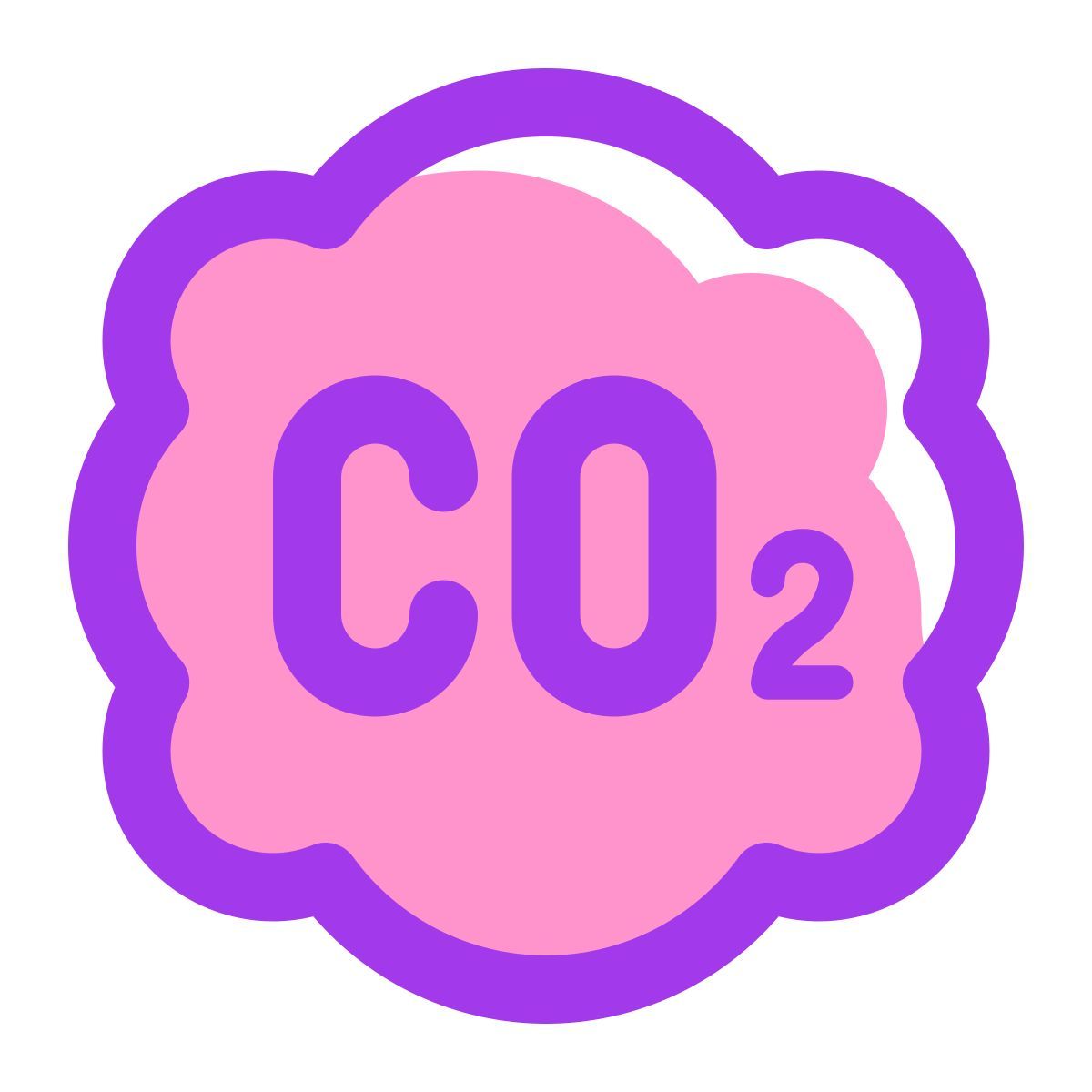 co2 icon