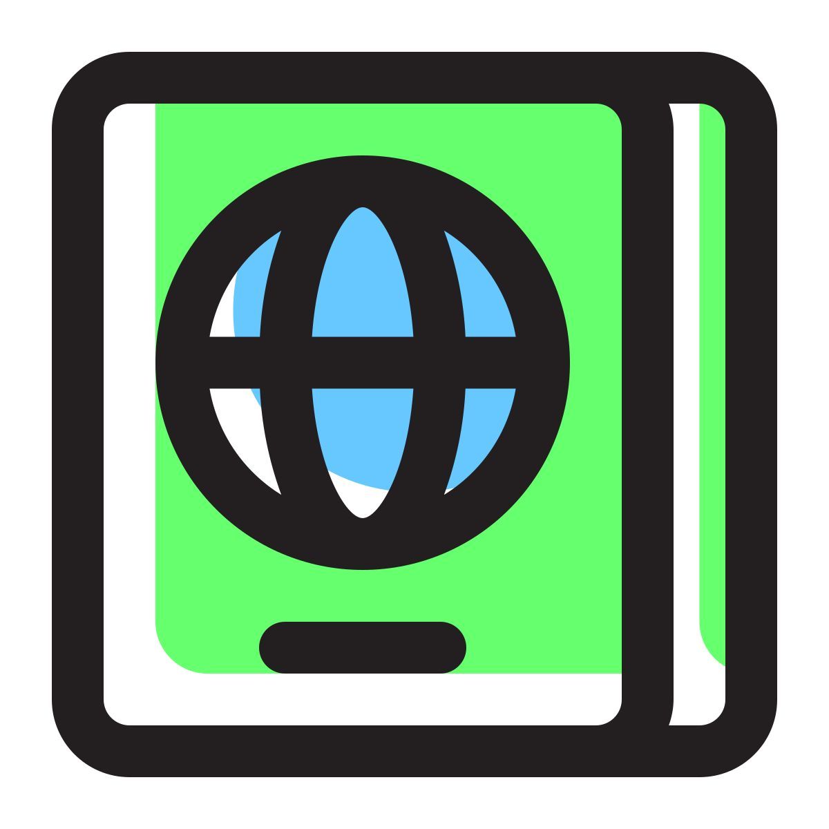 reisepass icon