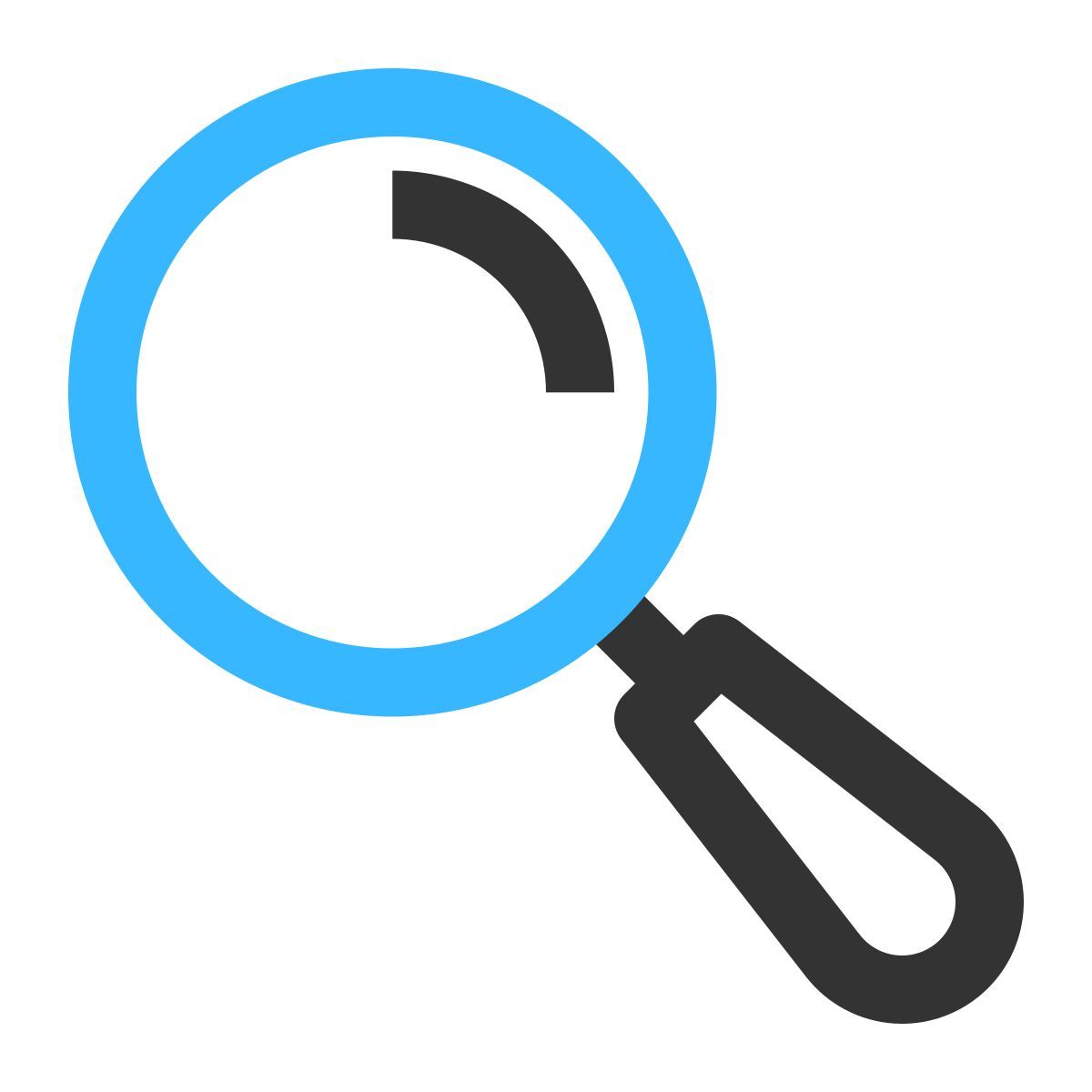 magnifier icon
