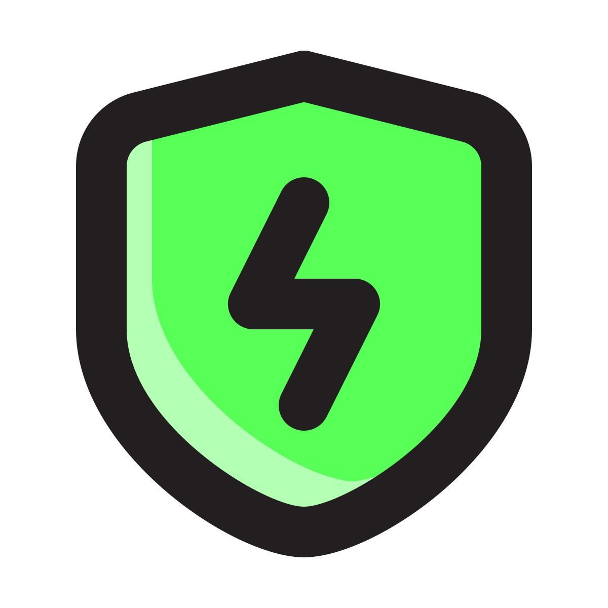 shield icon