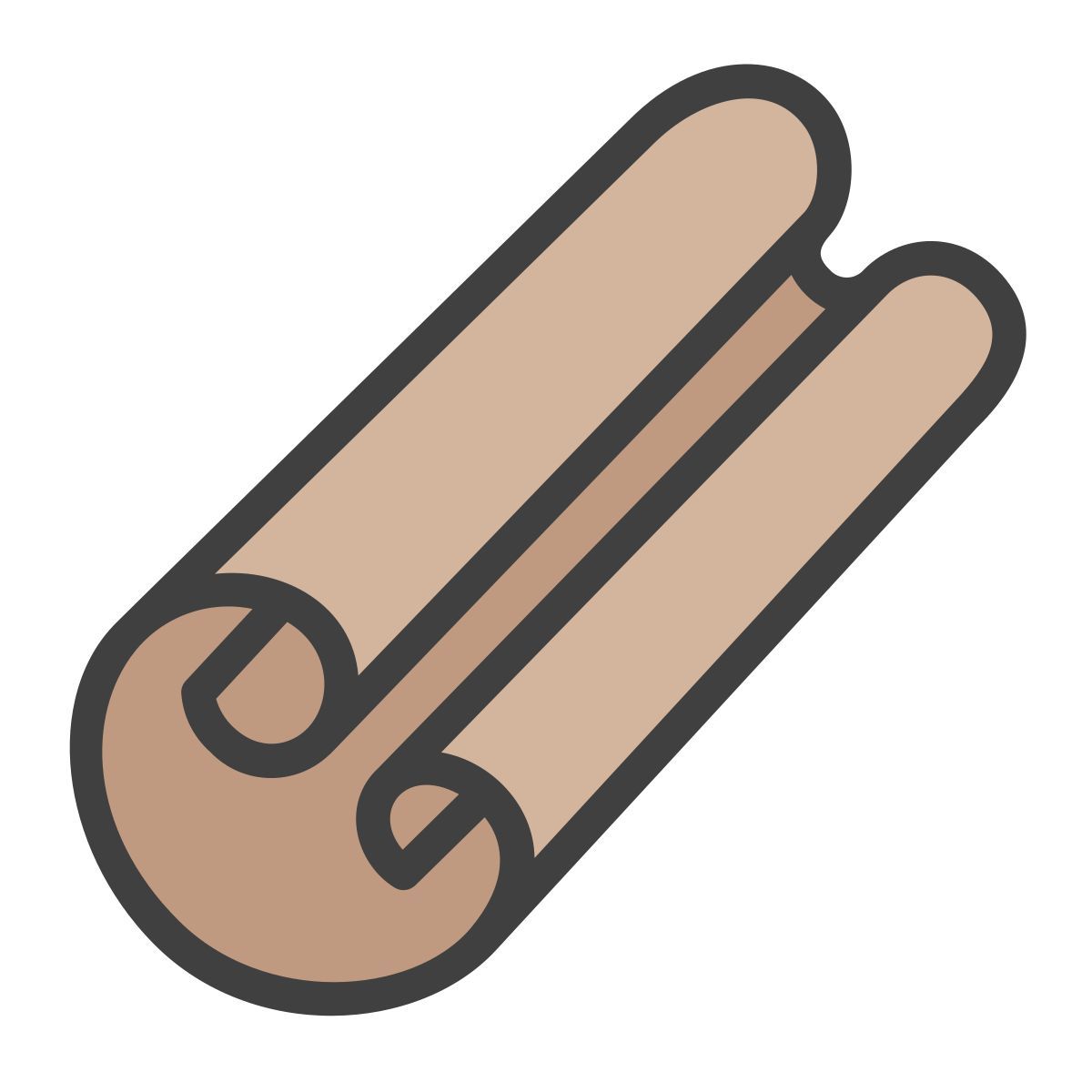 cinnamon icon