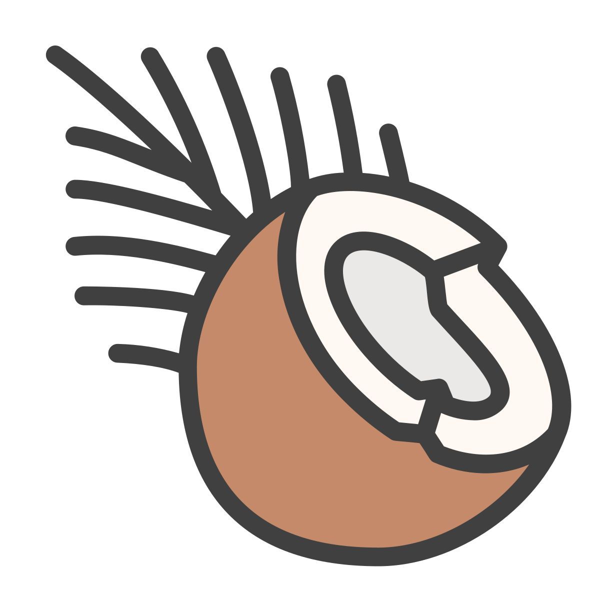 coconut icon
