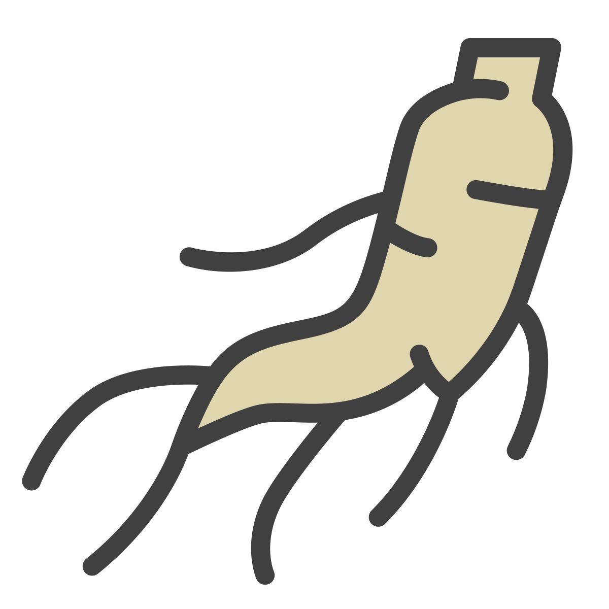 ginseng icon