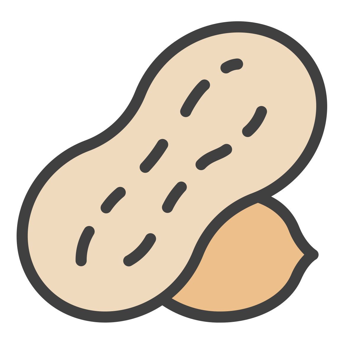 peanut icon