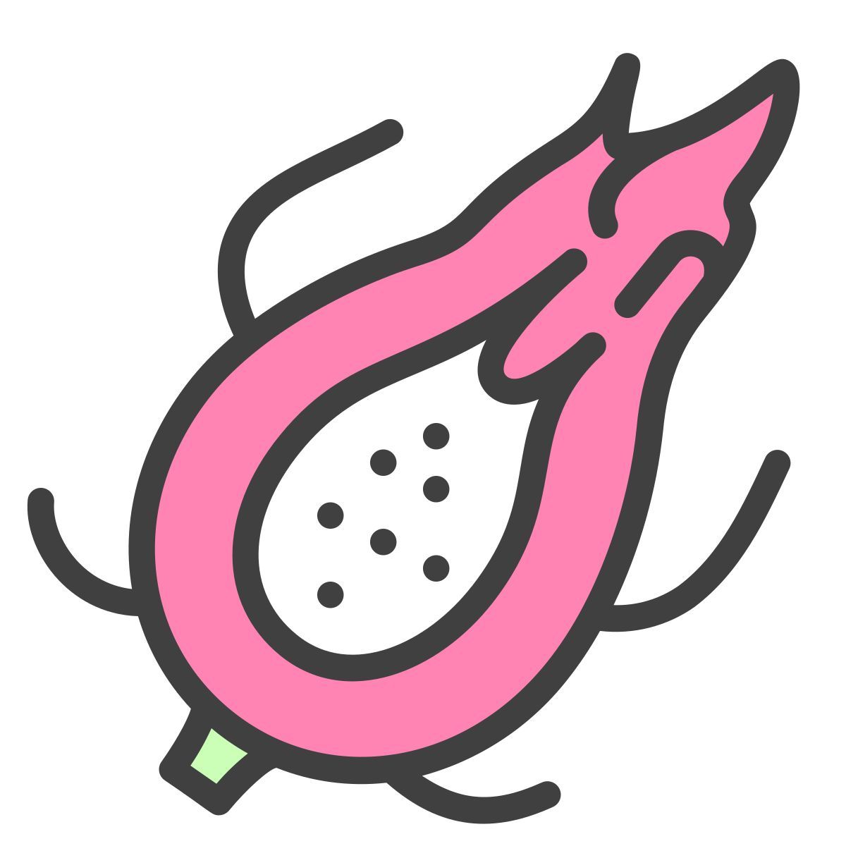pitaya icon