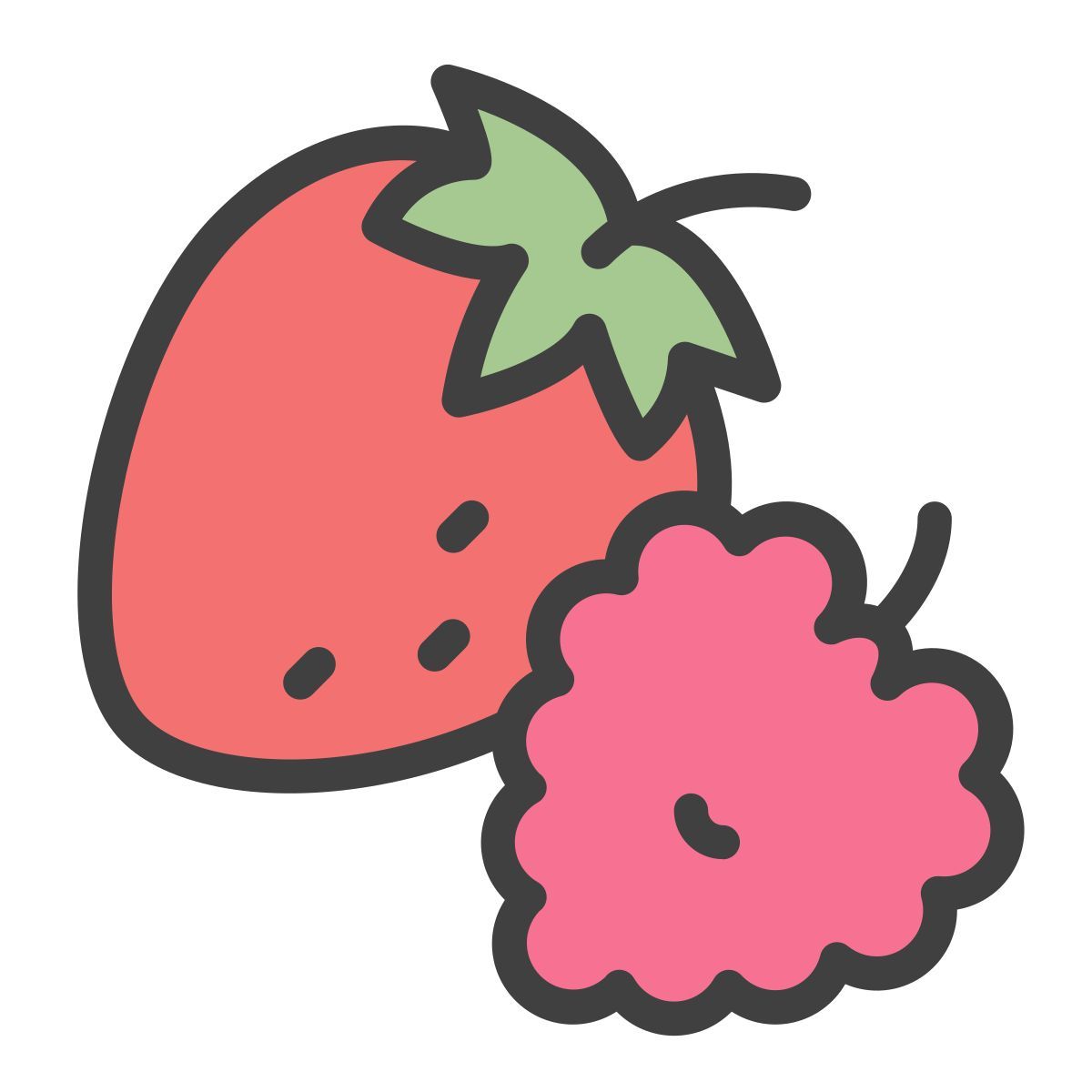 raspberry icon