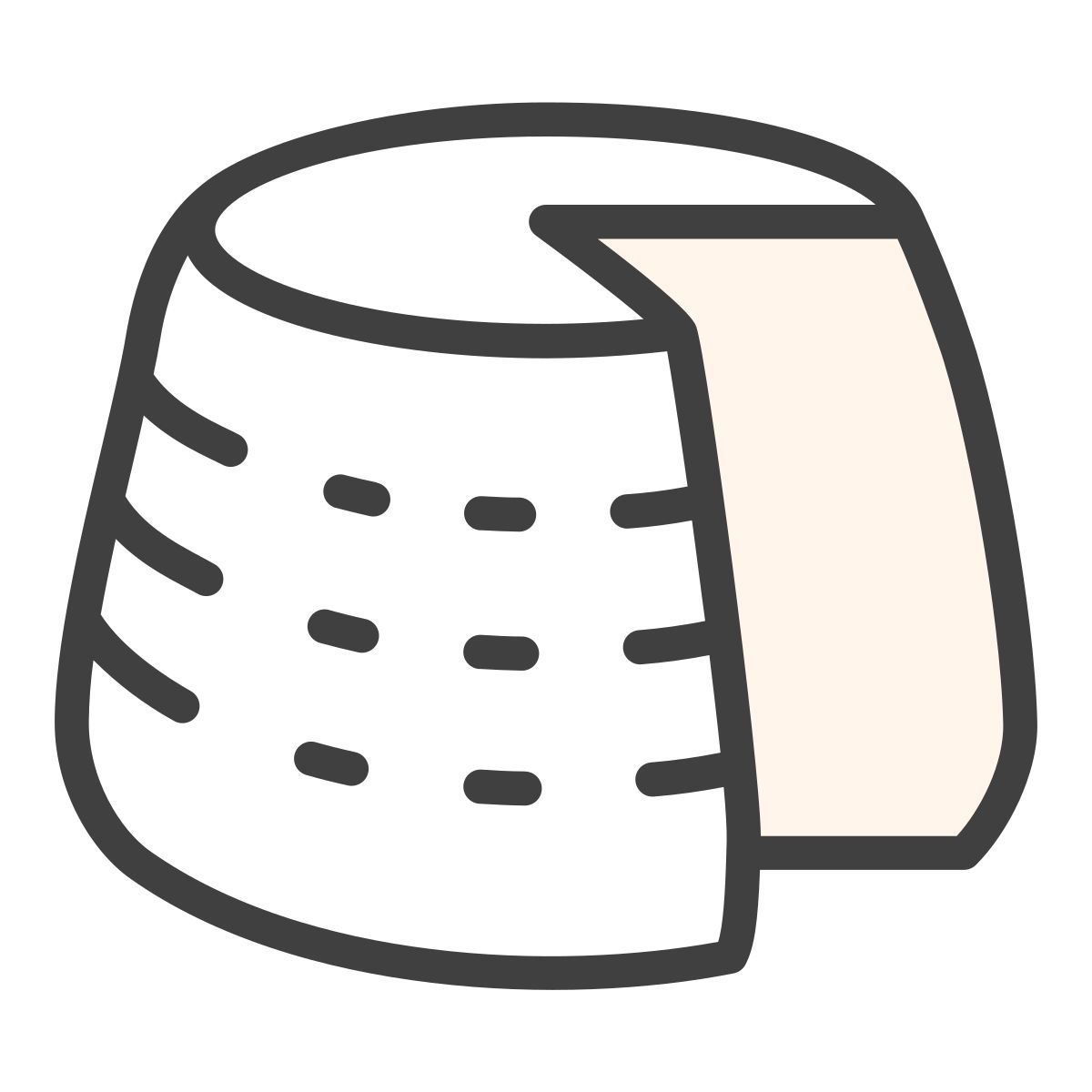 里科塔 icon