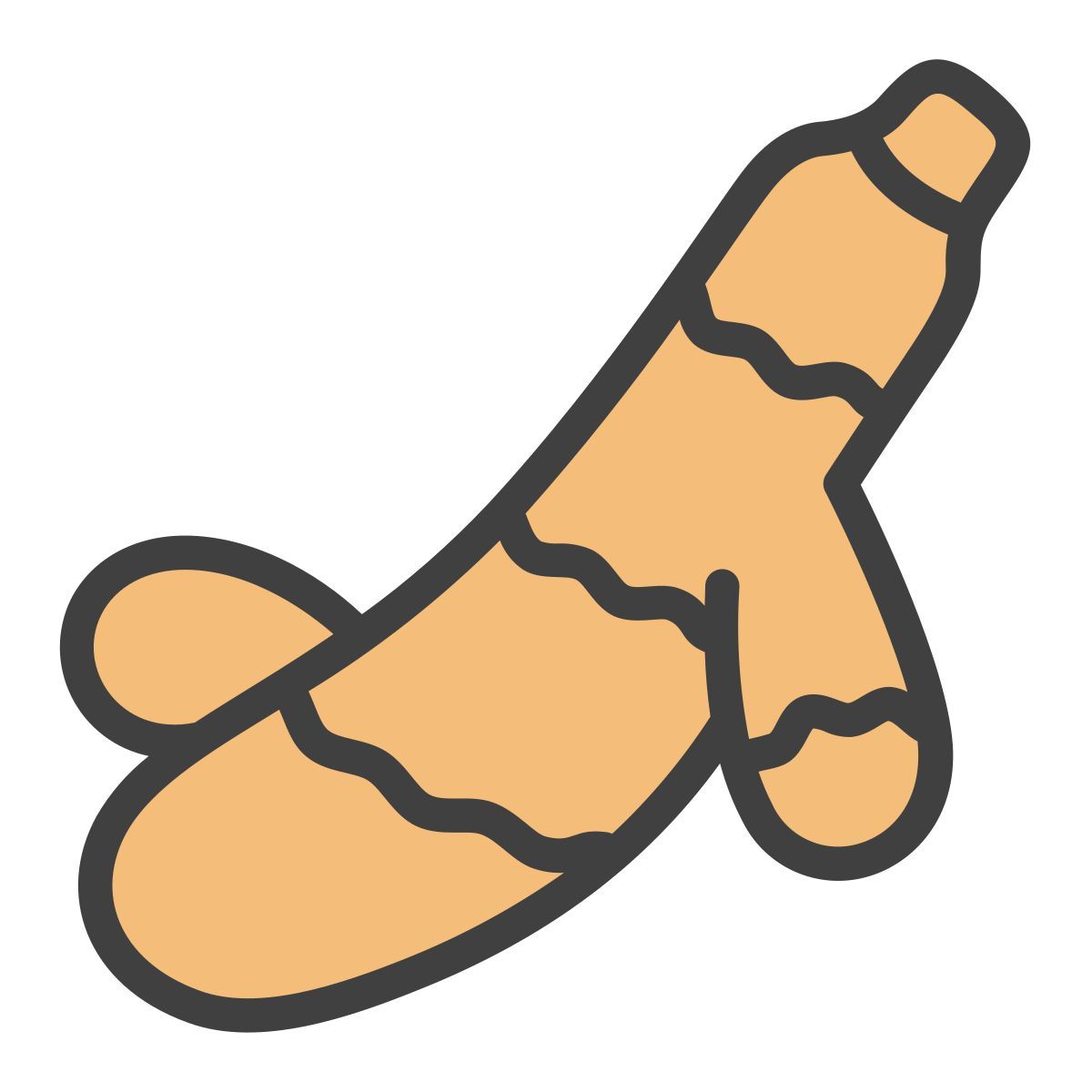 turmeric icon