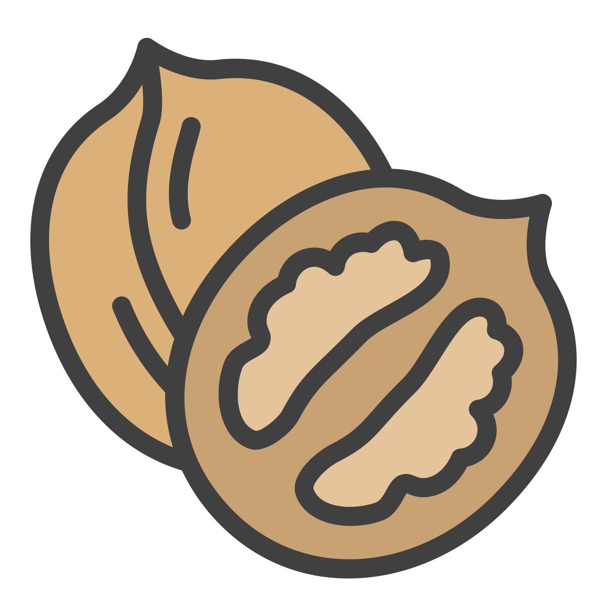 wallnut icon