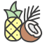 external tropic-flavors-colored-outline-part-3-colored-outline-lafs icon