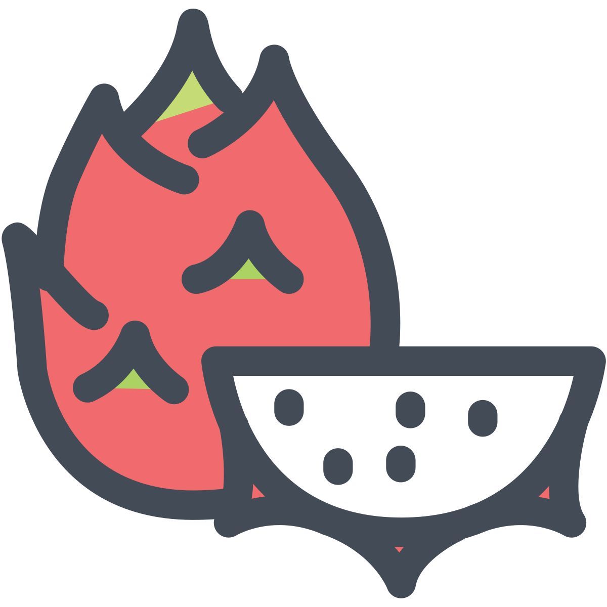 dragon fruit icon