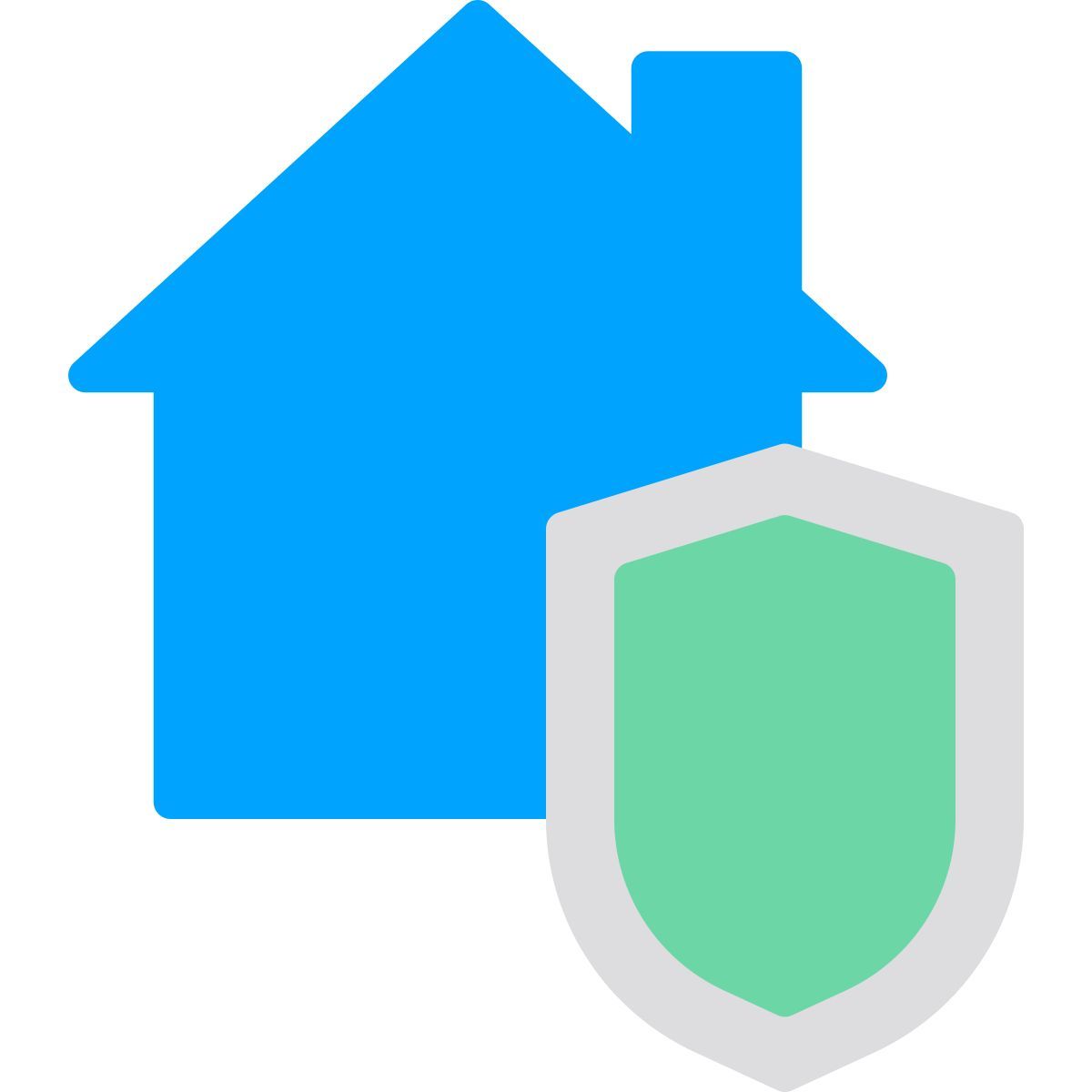 house protection icon