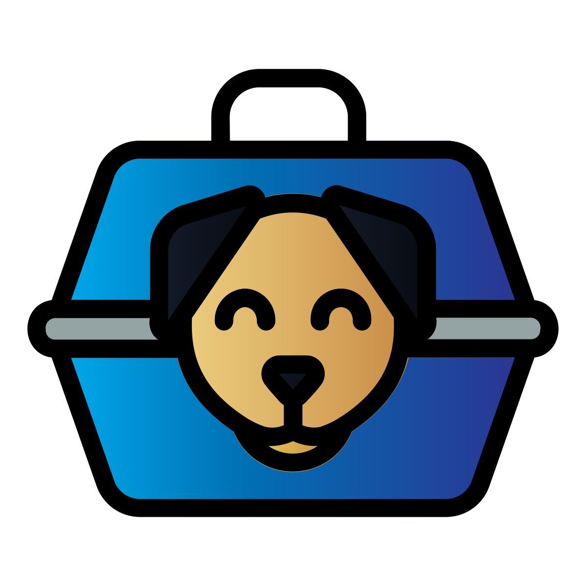 carrier icon