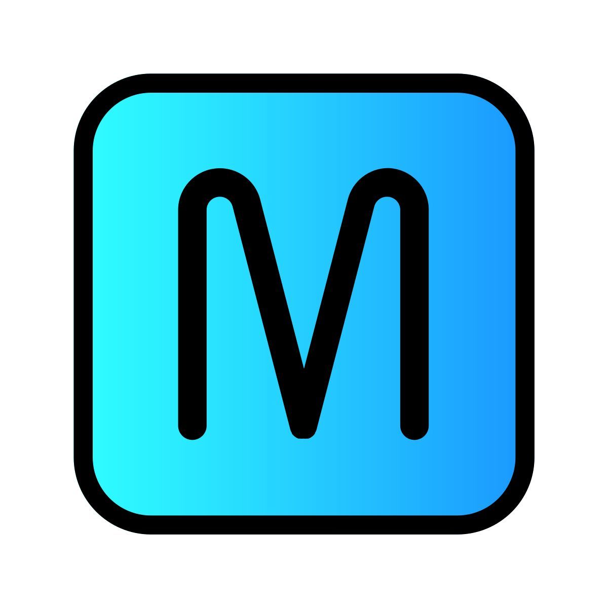 camera icon