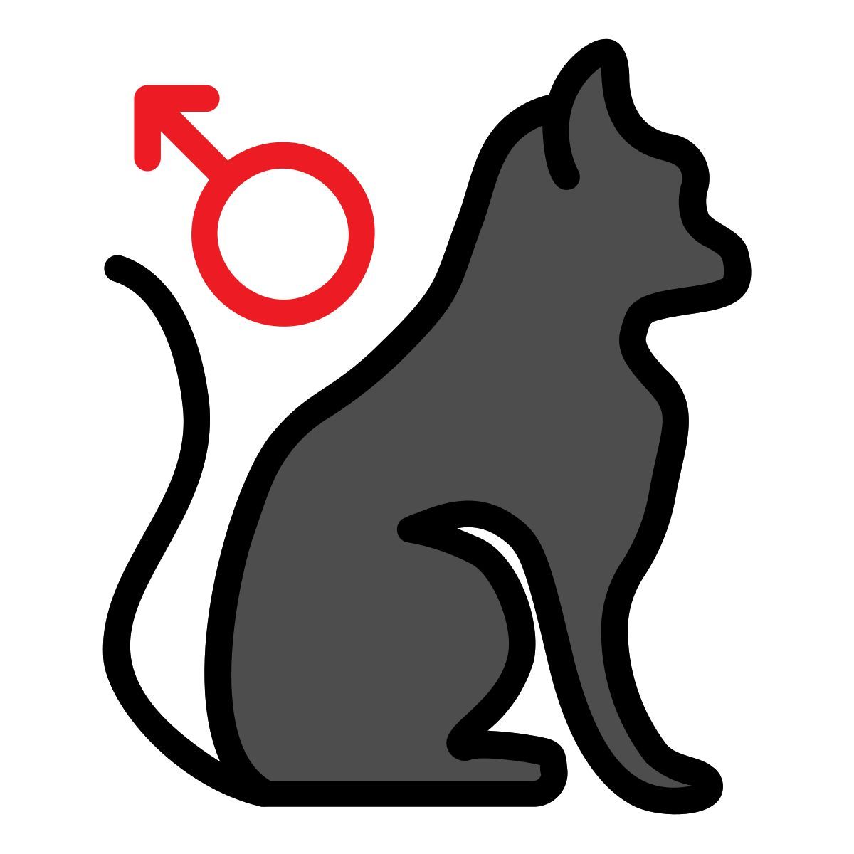 cat icon