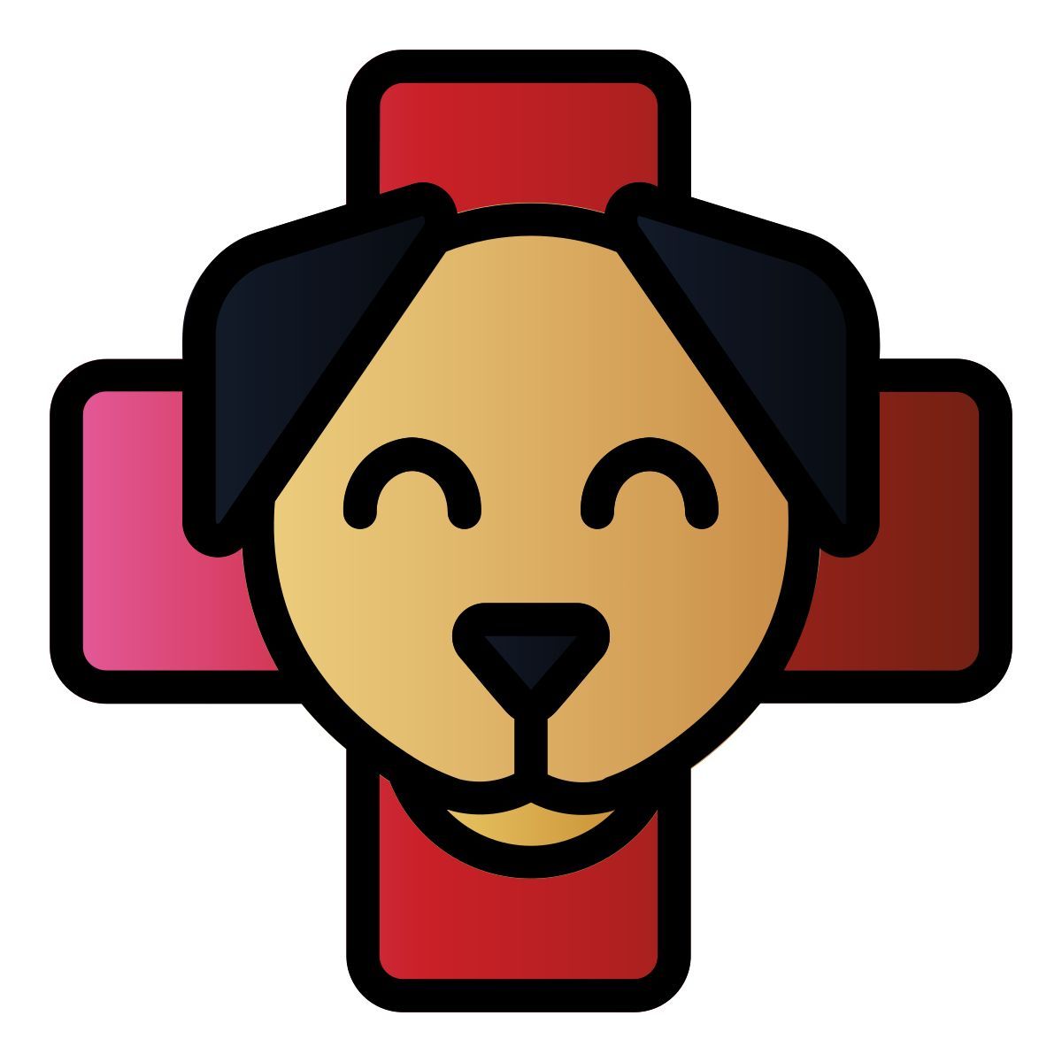 vet clinic icon