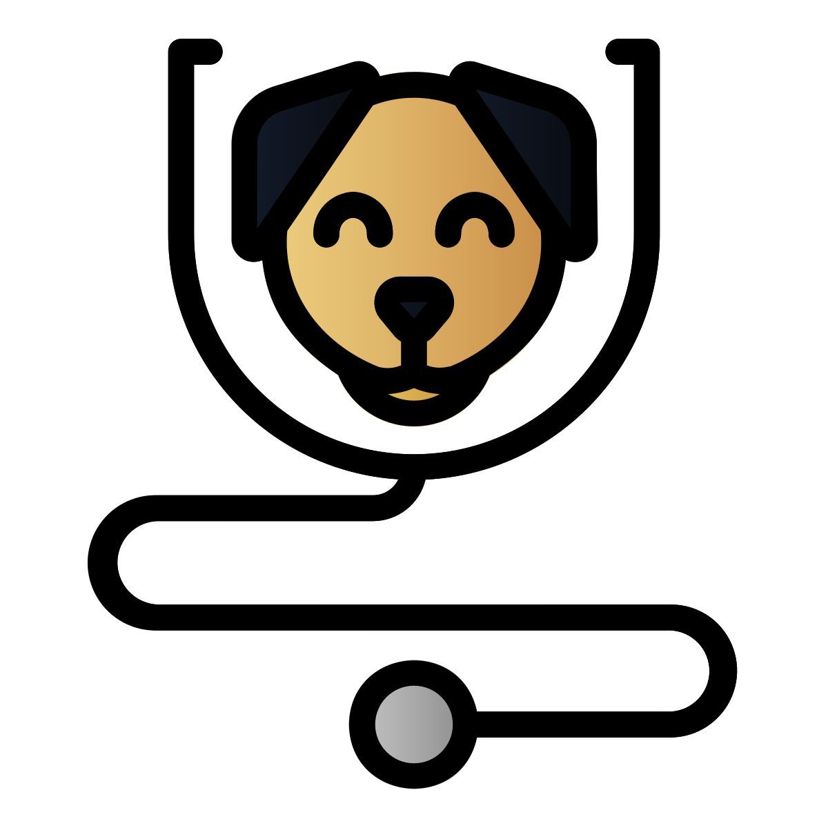 vet clinic icon