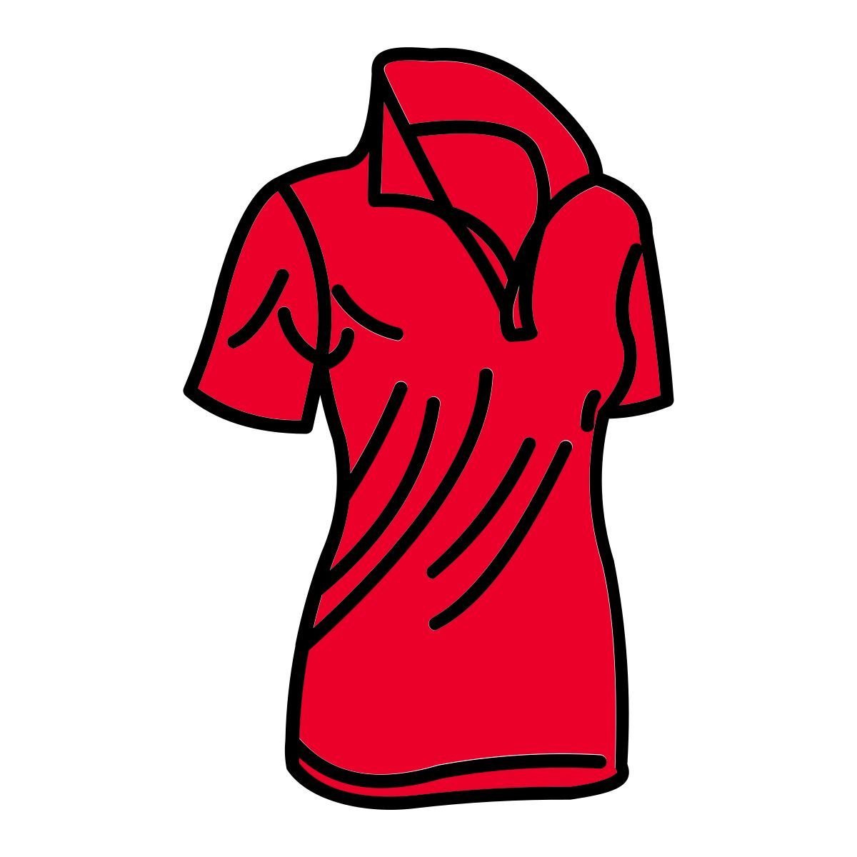 polo icon