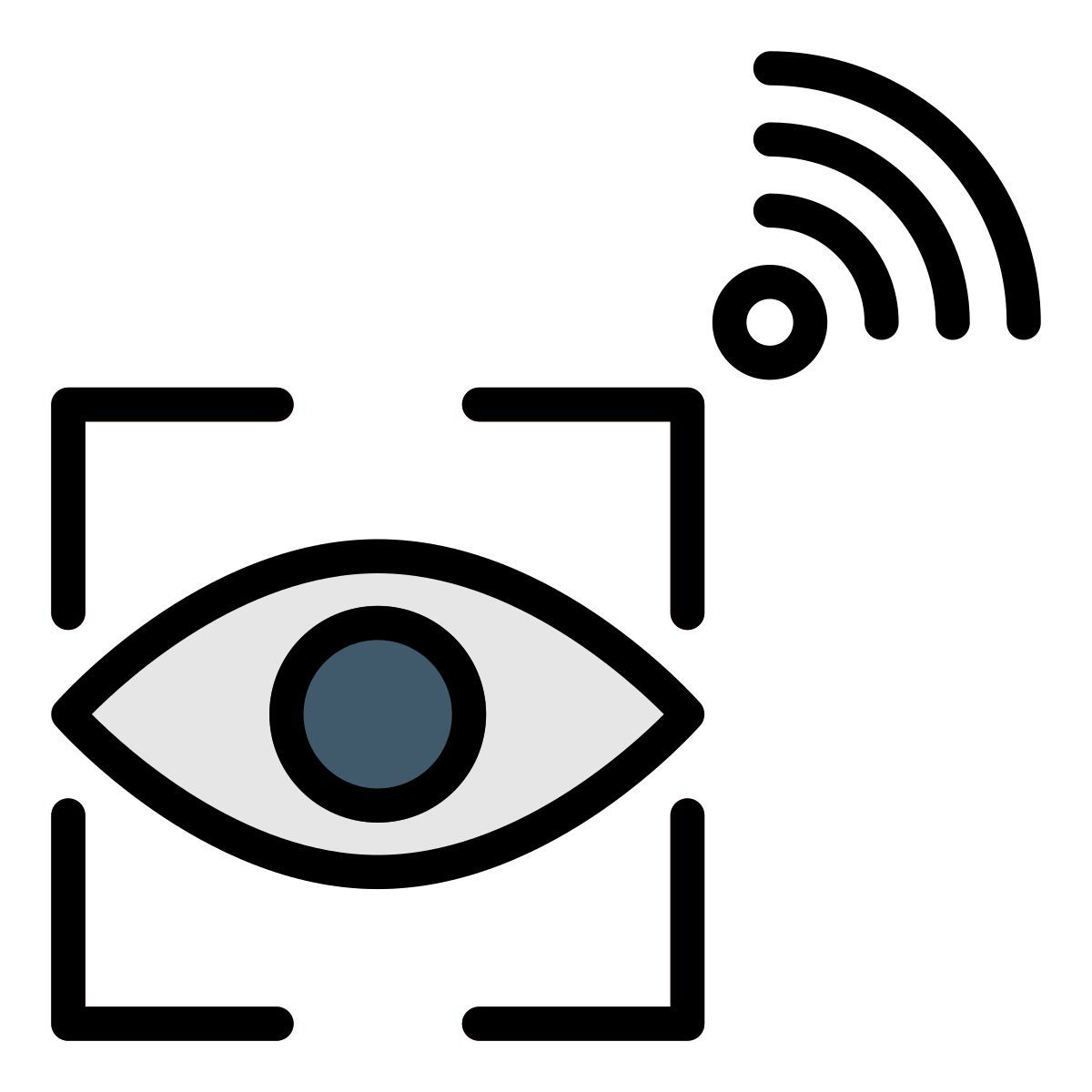 scan eye icon