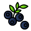 external berry-fresh-fruit-creatype-filed-outline-colourcreatype icon